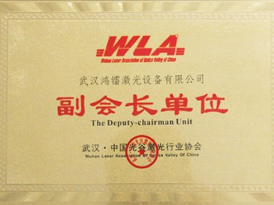 中國光谷激光行業(yè)協(xié)會(huì)副會(huì)長單位